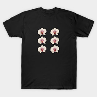 Orchid Flora Wildflower Bloom Vintage Since Established T-Shirt